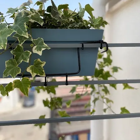 Holiday House Da Vinci Appartement Terrasini